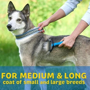 🎁Pet Safe Dematting Comb🎉Buy two for better prices🎉