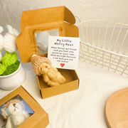 ⏰Final 3 Hours: Only $9.99🎉🎁Handmade Mini Plush Teddy Bear in Box