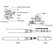 🔥HIT OF 2026 🎣 Pocket Fishing Rod – Unmissable Promotion!