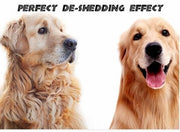 🎁Pet Safe Dematting Comb🎉Buy two for better prices🎉