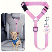 🔥Buy more save more🎁2-in-1 Dog Car Seat Belt & Walking Leash